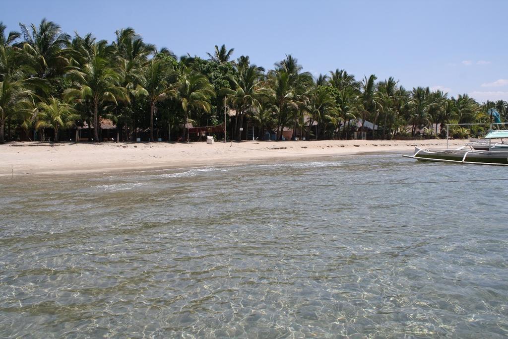 Blu Ma Re Guesthouse - Sugar Beach Sipalay Exterior photo